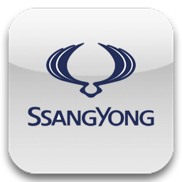 Ssang yong original